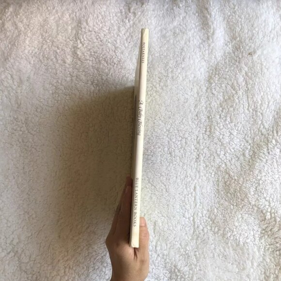 A Baby Blessing by Welleran Poltarnees (1995 Hardcover) Good Dust Jacket - Picture 3 of 10